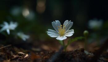 Fiore di campo prato vetrine naturale bellezza nel Multi colorato camomilla pianta generato di ai foto