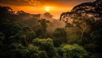 tramonto al di sopra di tropicale foresta pluviale, un' tranquillo scena di naturale bellezza generato di ai foto