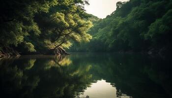 tranquillo scena di natura bellezza foresta, montagna, e acqua generato di ai foto