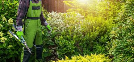 professionale giardiniere con forbici nel il suo mano nel un' giardino foto