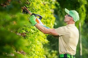 giardiniere con elettrico cordless siepe trimmer nel azione foto