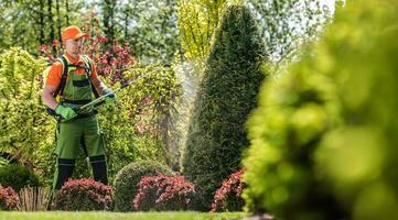 giardino impianti pesticida foto