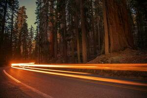 sequoie autostrada traffico foto