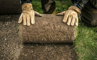 naturale erba rotolo installato di professionale giardiniere foto