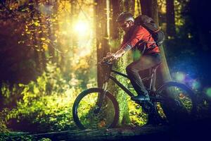 bicicletta cavalcata nel il panoramico foresta foto