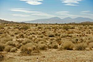 mojave deserto noi14 foto