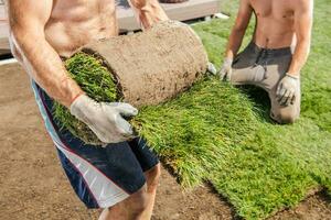 lavoratori installazione natura erba zolle nel un' giardino foto