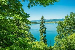 lago czorsztyn Visualizza foto