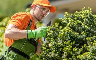 professionale giardiniere focalizzata su potatura impianti foto