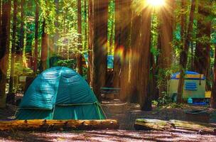 tenda campeggio nel sequoie foto