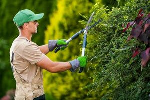 di stagione giardino impianti Rifinitura di caucasico giardiniere foto