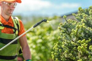 Manuale pesticida spruzzatura eseguita di professionale giardiniere foto