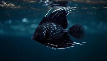 Multi colorato pesce coda nel movimento, bellezza nel natura subacqueo mondo generato di ai foto