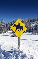 cavallo cavalcata strada cartello foto