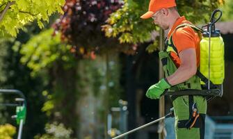 professionale giardiniere spruzzatura pesticidi con pompa spruzzatore foto