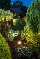 illuminato giardino a notte foto