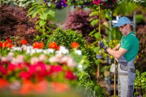 giardiniere e il suo attività commerciale foto