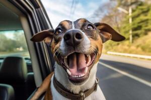 cane nel vero vita, contento momento con animale domestico ai generativo foto