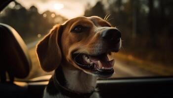 di razza cane seduta nel macchina, godendo viaggio generato di ai foto