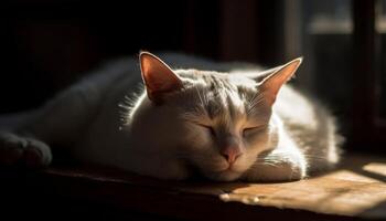 soffice gattino napping su morbido cuscino in casa generato di ai foto