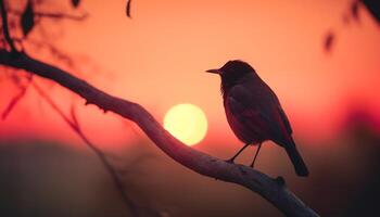 silhouette di storno perching su arancia ramo generato di ai foto