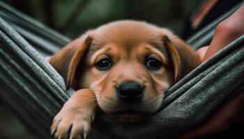 carino cucciolo seduta, guardare triste, esigenze amore generato di ai foto