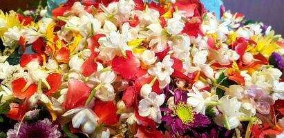 bellissimo fiore con gelsomino, rosa viola lilly e acqua far cadere su loro. celebrazione e Tailandia cultura per Songkran Festival foto