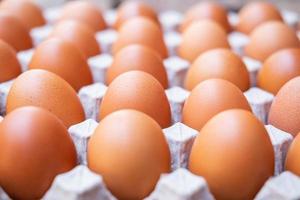un primo piano di uova di gallina crude in pannelli di uova