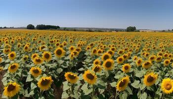 un' vivace riga di girasoli nel un' prato generato di ai foto