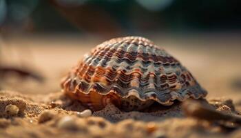 natura bellezza colorato conchiglie su sabbioso spiaggia generato di ai foto