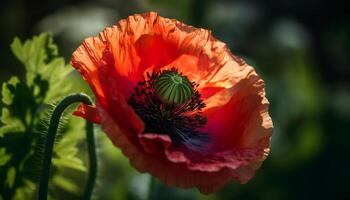 colorato Fiore di campo fiori nel luminosa estate luce del sole generato di ai foto