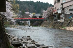 Takayama, Giappone - aprile 5, h sakura ciliegia fiorire nel aprile2023 nakabashi ponte, tradizionale giapponese rosso ponte spirito foto