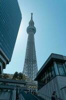 tokyo, Giappone - aprile 9, 2023 tokyo skytree Torre, famoso punto di riferimento vicino sumida fiume foto