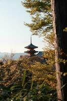 kiyomizu dera tempio foto