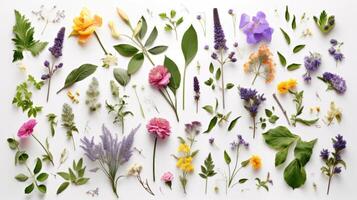 assortimento le foglie e fiori. illustrazione ai generativo foto