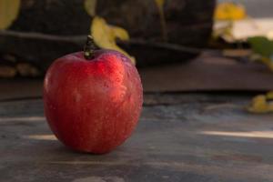 mela rossa disposta su un pavimento metallico foto