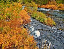 autunno al fiume metolius a nord di camp sherman o foto