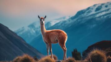 guanaco nel natura, sbalorditivo foto. creativo risorsa, ai generato foto