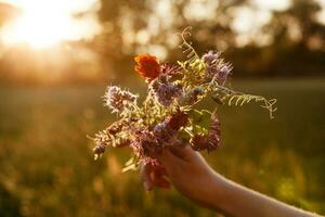 dettaglio di colorato prato fiori Tenere nel donna mano durante il autunno tramonto foto