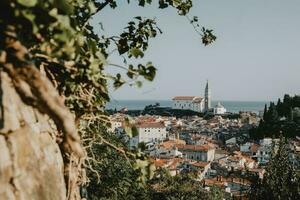 panoramico Visualizza di il vecchio storico costiero slovenia cittadina pirano con tipico Torre vicino il Adriatico mare a partire dal il collina con il pietra e cespuglio nel primo piano e chiaro blu estate cielo nel sfondo foto
