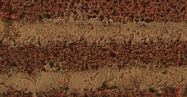 fetta di cioccolato torta struttura ,lato Visualizza foto