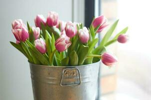 mazzo di delicato rosa tulipani nel ferro benna. foto