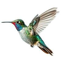 blu vivido ampio fatturato colibrì isolato. illustrazione ai generativo foto