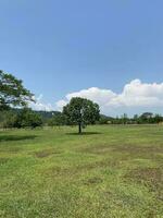 taman tasik millennio Malaysia . naturale colline giardino lago insieme foto