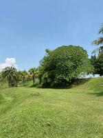 taman tasik millennio Malaysia . naturale colline giardino lago insieme foto