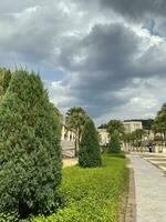 naturale giardino , tangga putrajaya passaggi nel Malaysia foto