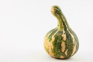 zucca isolato nel bianca sfondo. cucurbita maxima foto