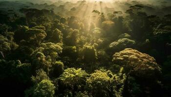 tramonto al di sopra di subacqueo scogliera, un' tropicale Paradiso generato di ai foto