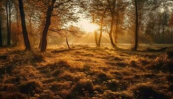 misterioso foresta si illumina con ardente autunno colori generato di ai foto