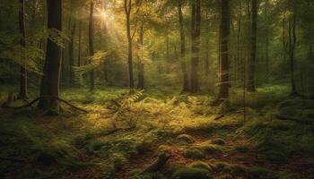 misterioso nebbia sudari tranquillo autunno foresta sentiero generato di ai foto